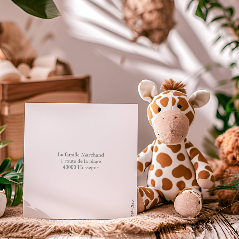 Verso faire part de naissance avec écureuil