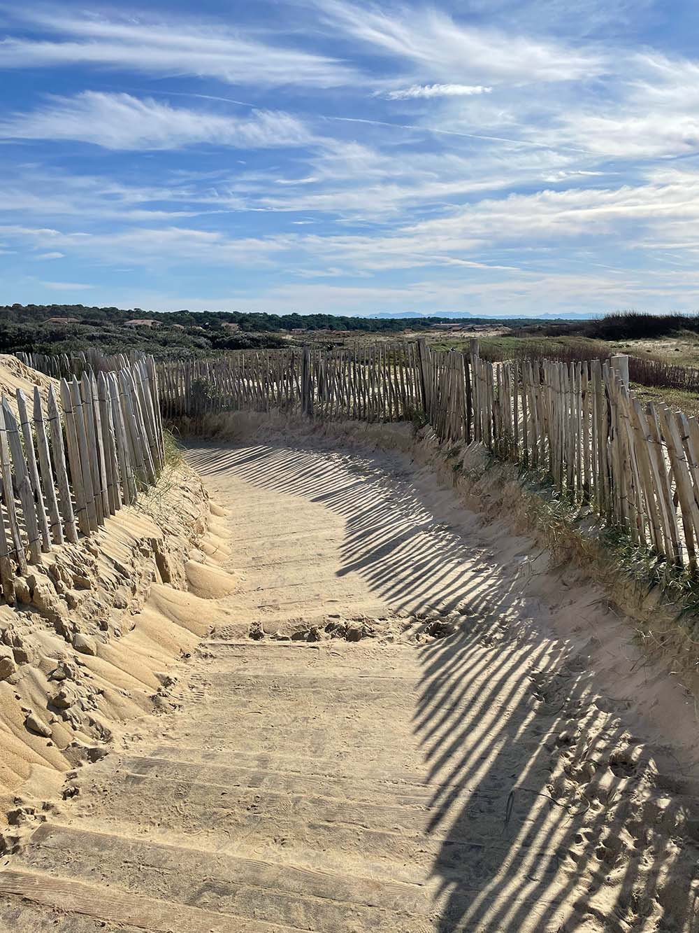 Photo de la ballade dans les dunes à Capbreton, incontournable des Landes