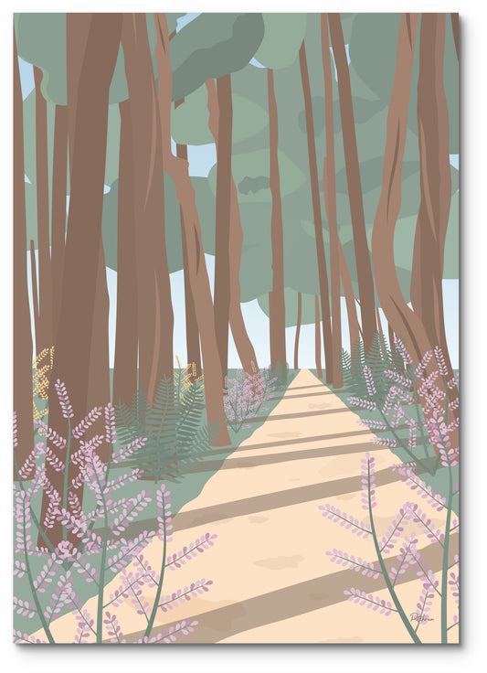 Affiche forêt de pins illustrée : un chemin de sable entre les pins, bordé de bruyère et de fougères