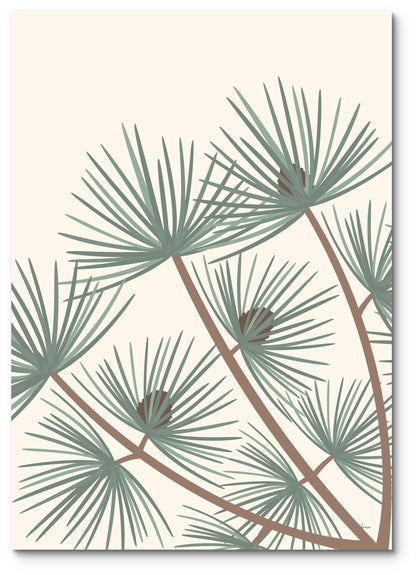 Affiche pin landais illustrée : des branches de pin maritime et leurs pommes de pin, sur fond crème