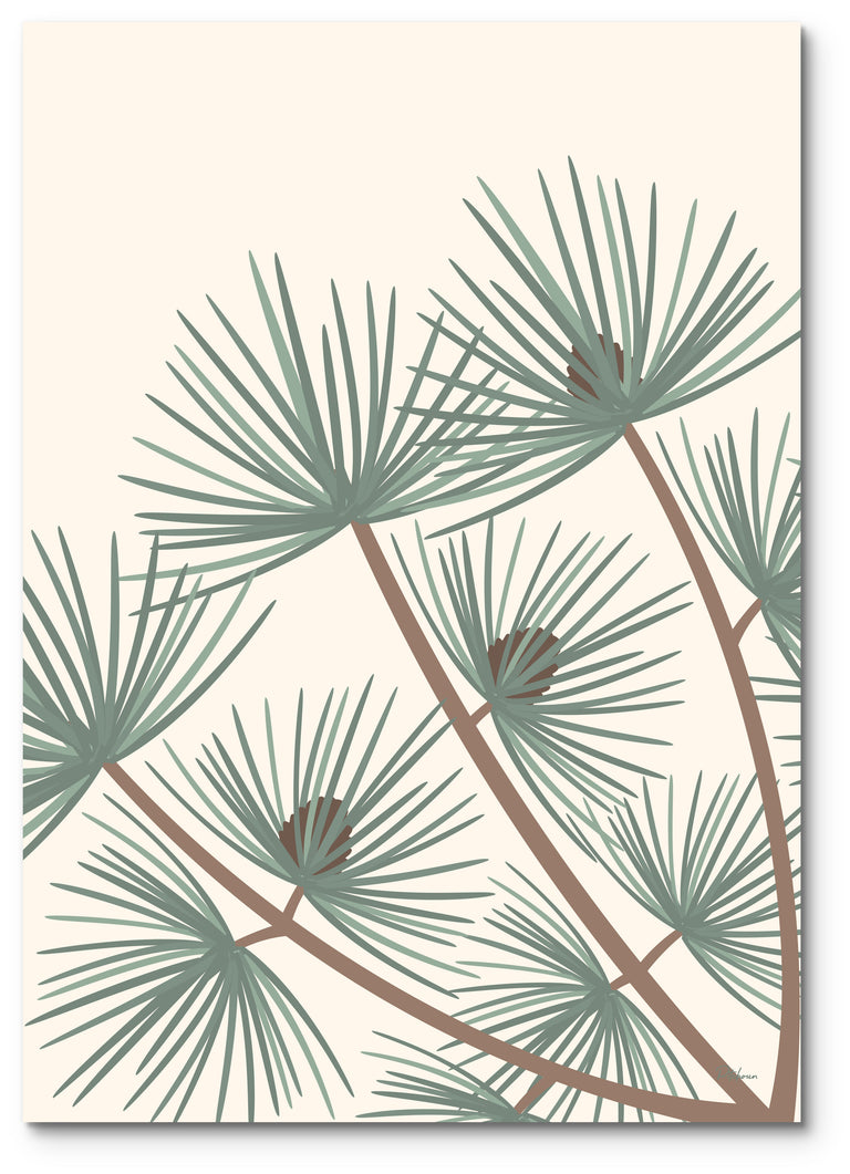 Affiche pin landais illustrée : des branches de pin maritime et leurs pommes de pin, sur fond crème