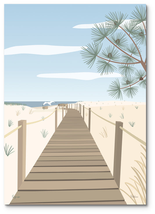 Affiche Seignosse illustrée : la passerelle en bois vers la plage du Penon, sous un pin